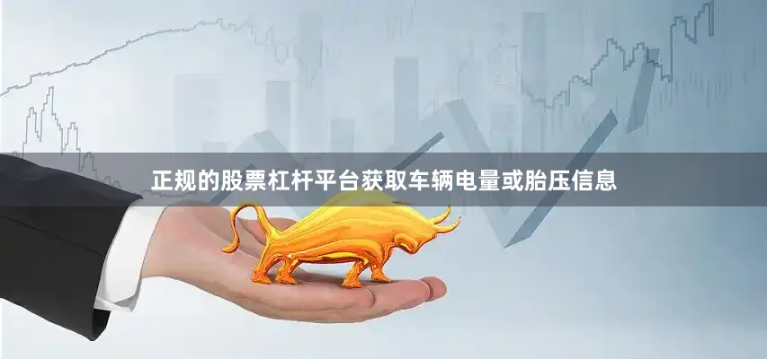 正规的股票杠杆平台获取车辆电量或胎压信息